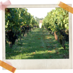 Domaine-deole